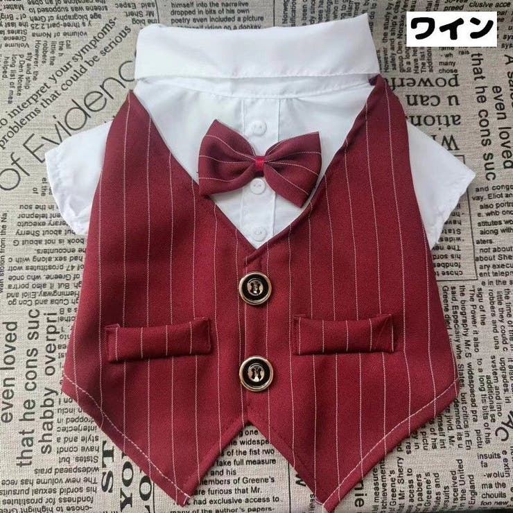 ペットウェア ドッグウェア 犬服 | PlusNao | 詳細画像17 