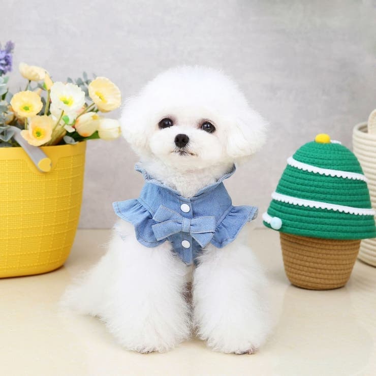 ドッグウェア ペット服 ペットウェア | PlusNao | 詳細画像4 