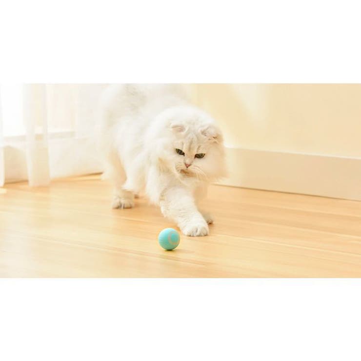 猫用おもちゃ 電動ボール USB充電式 | PlusNao | 詳細画像4 