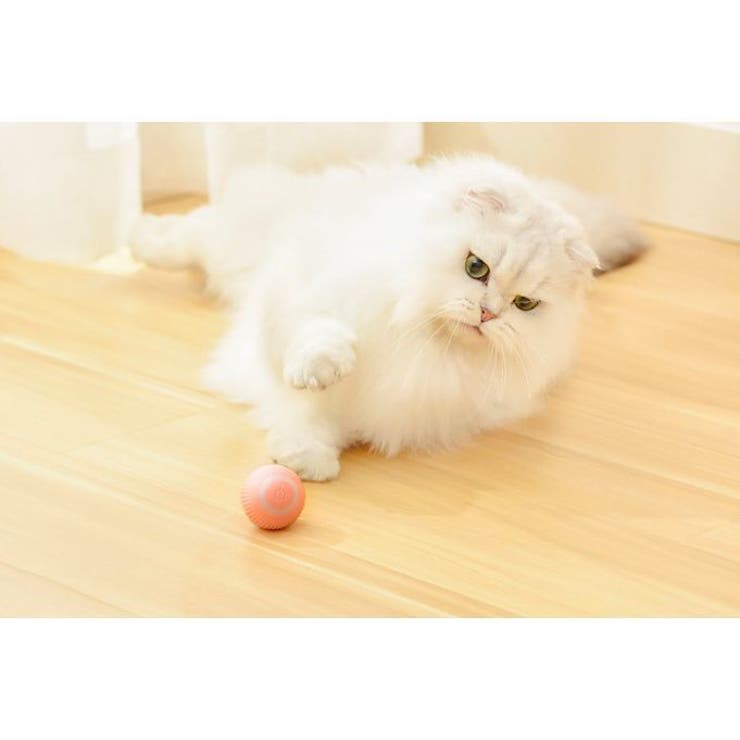 猫用おもちゃ 電動ボール USB充電式 | PlusNao | 詳細画像5 