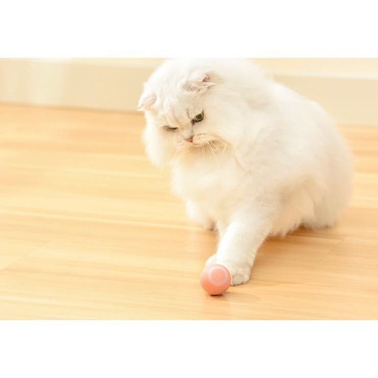 猫用おもちゃ 電動ボール USB充電式 | PlusNao | 詳細画像6 