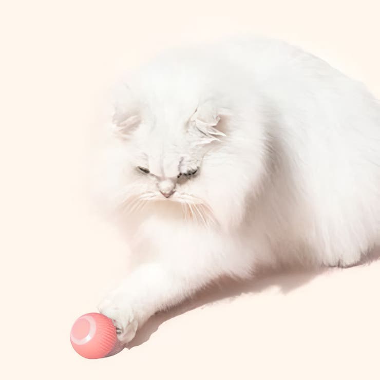 猫用おもちゃ 電動ボール USB充電式 | PlusNao | 詳細画像7 