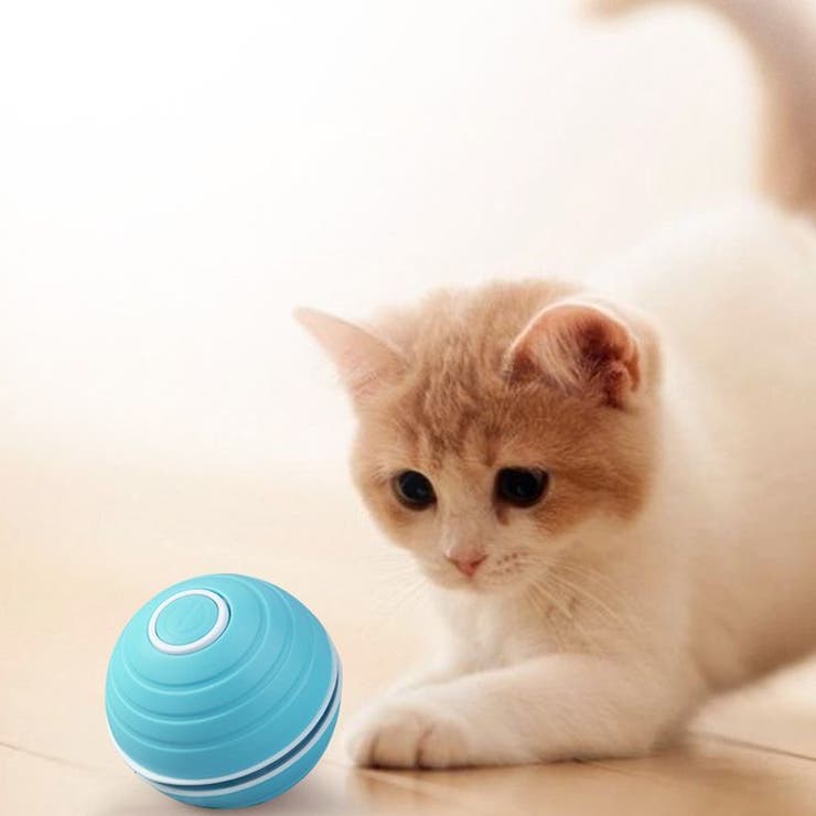 猫用おもちゃ 電動ボール USB充電式 | PlusNao | 詳細画像2 