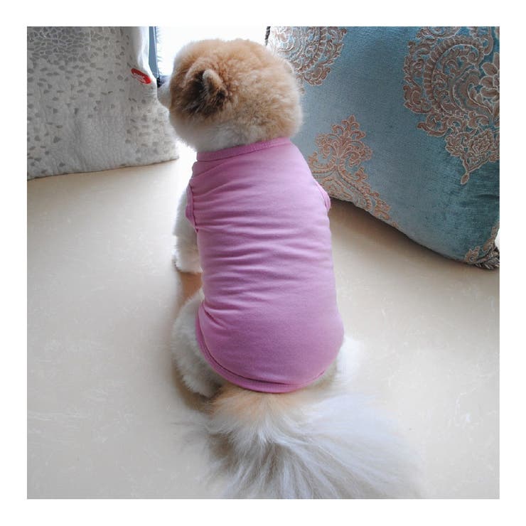 ペットウェア ドッグウェア 犬の服 | PlusNao | 詳細画像6 