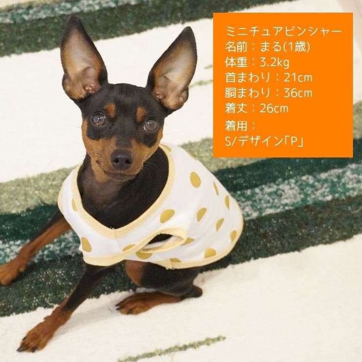 ペット服 タンクトップ 犬 | PlusNao | 詳細画像6 