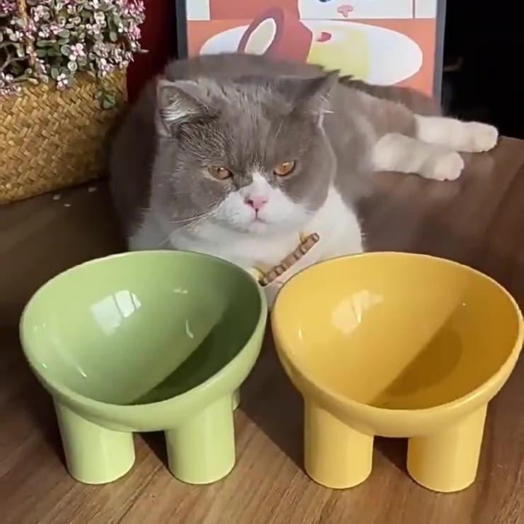 ペット用食器 猫用 犬用 | PlusNao | 詳細画像2 