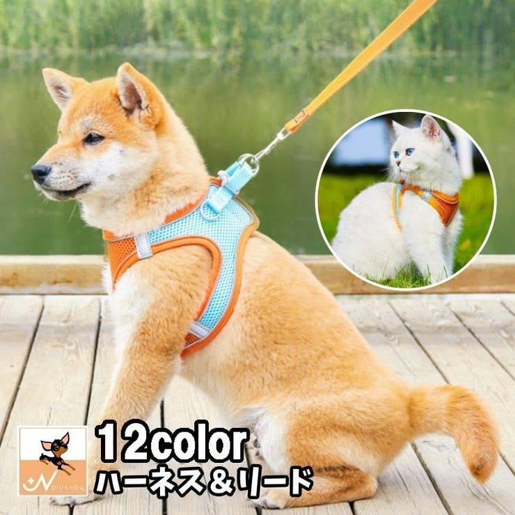 ハーネス リード 2点セット | PlusNao | 詳細画像1 
