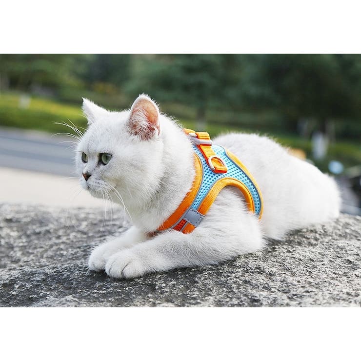 ハーネス リード 2点セット | PlusNao | 詳細画像5 