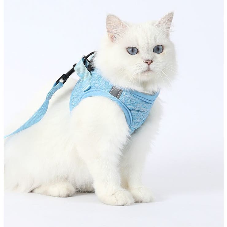 ハーネス リード 2点セット | PlusNao | 詳細画像2 