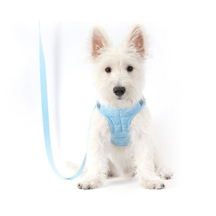 ハーネス リード 2点セット | PlusNao | 詳細画像3 