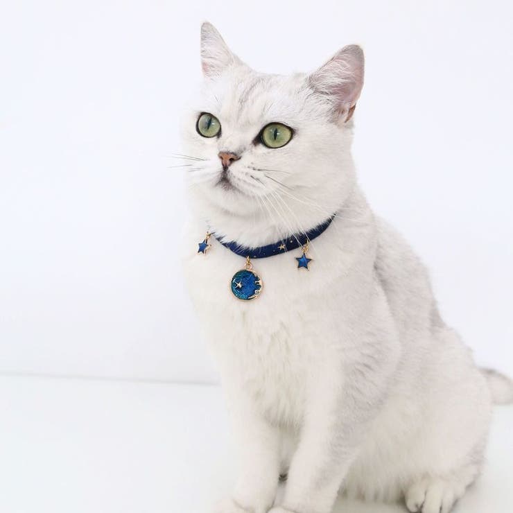 ペット用チョーカー 猫用 犬用[品番：FQ000144767]｜PlusNao