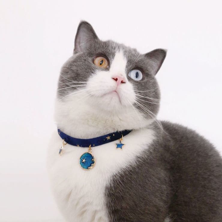 ペット用チョーカー 猫用 犬用[品番：FQ000144767]｜PlusNao