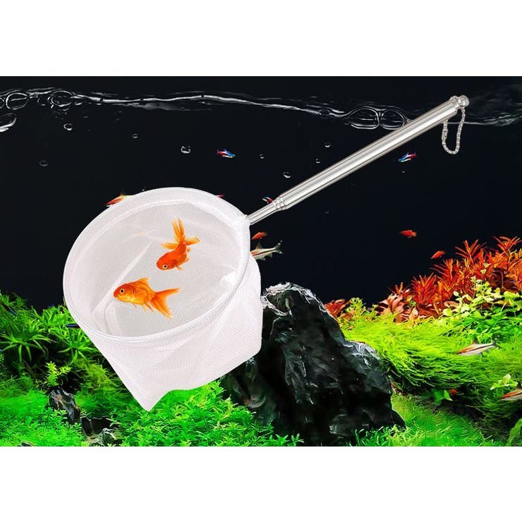 フィッシュネット 鑑賞魚用 すくい網 | PlusNao | 詳細画像2 