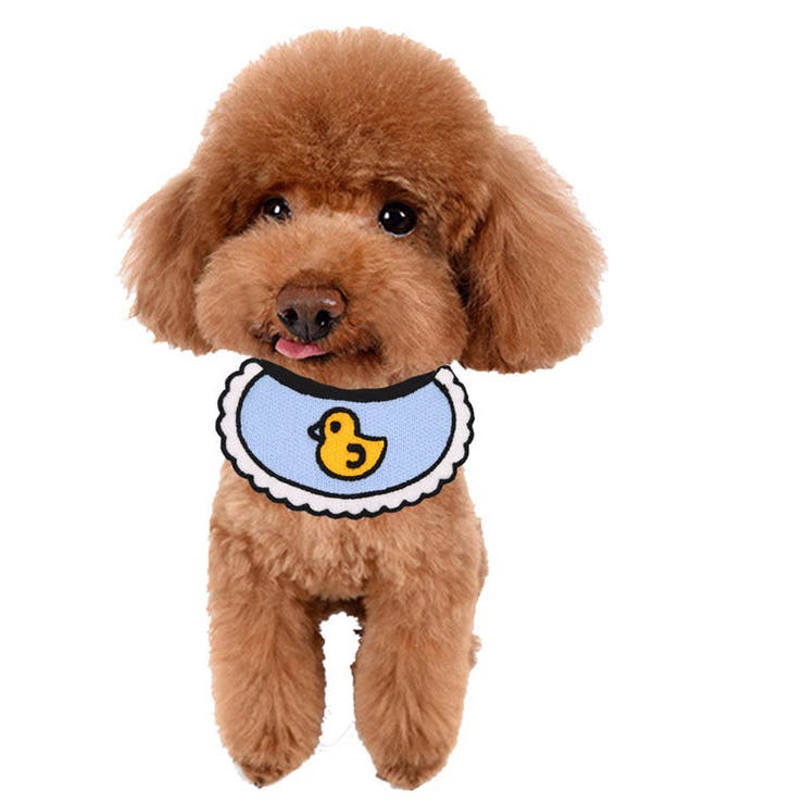 ペット用スタイ ペット スタイ | PlusNao | 詳細画像4 