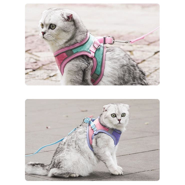 ハーネス リード セット | PlusNao | 詳細画像2 