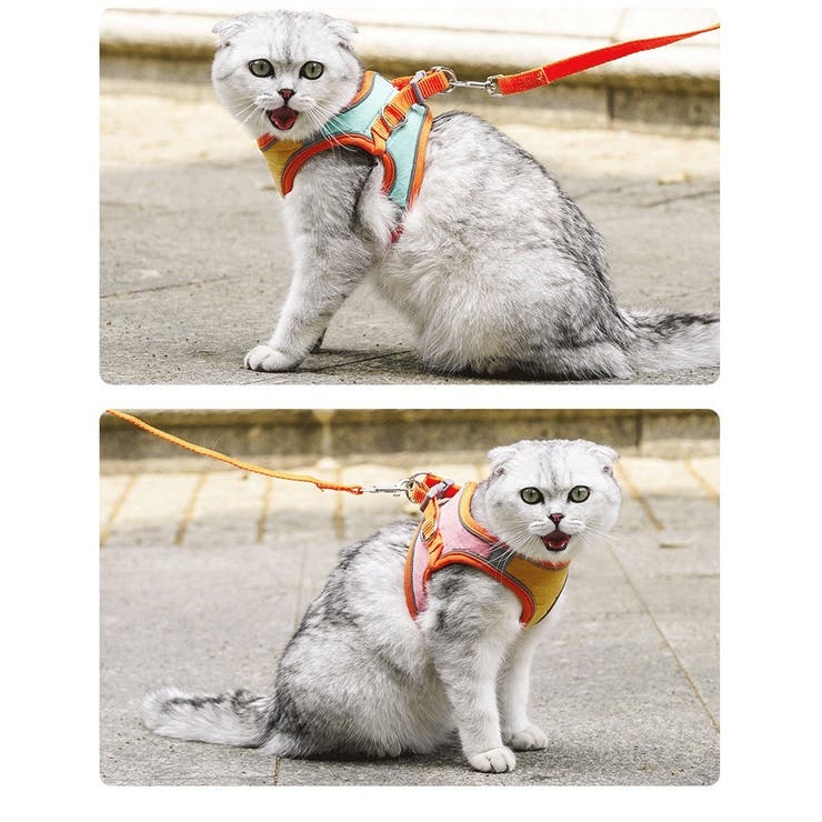 ハーネス リード セット | PlusNao | 詳細画像5 