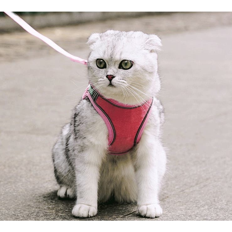 ハーネス リード セット | PlusNao | 詳細画像6 