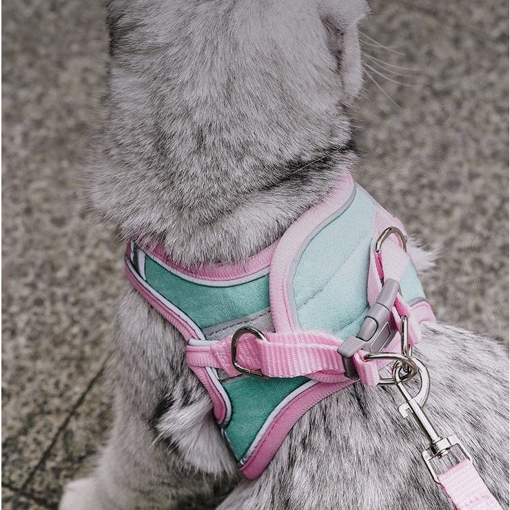 ハーネス リード セット | PlusNao | 詳細画像7 