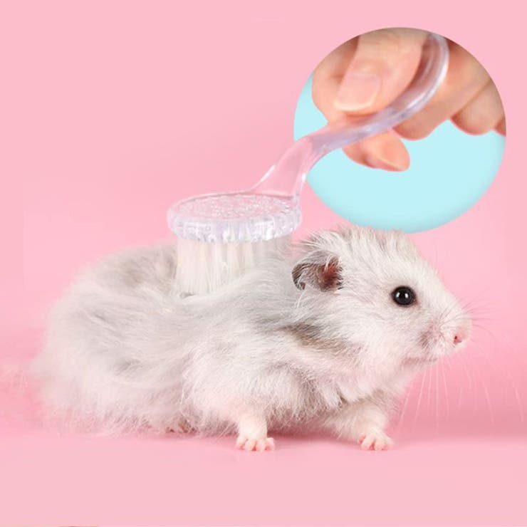 小動物用ブラシ ペット用品 ブラッシング | PlusNao | 詳細画像3 