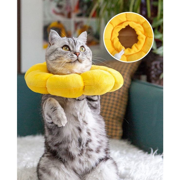 エリザベスカラー 猫 犬 | PlusNao | 詳細画像3 