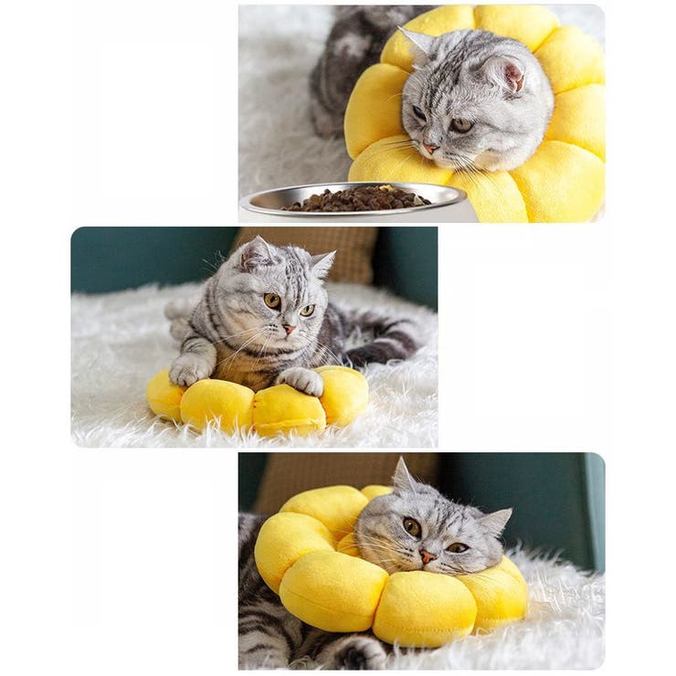 エリザベスカラー 猫 犬 | PlusNao | 詳細画像4 