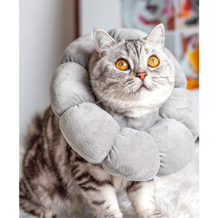 エリザベスカラー 猫 犬 | PlusNao | 詳細画像6 
