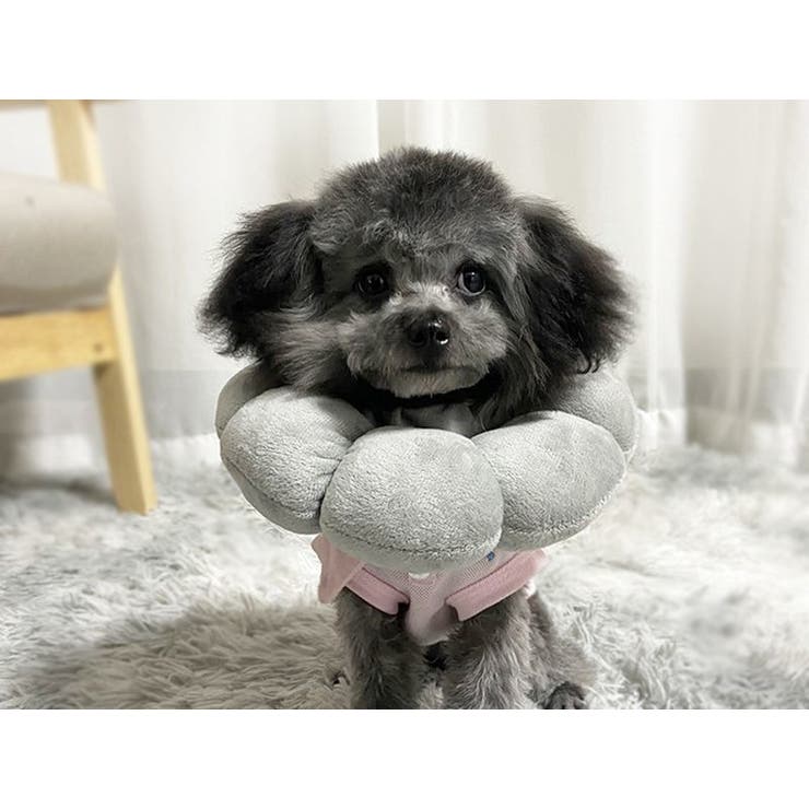 エリザベスカラー 猫 犬 | PlusNao | 詳細画像7 