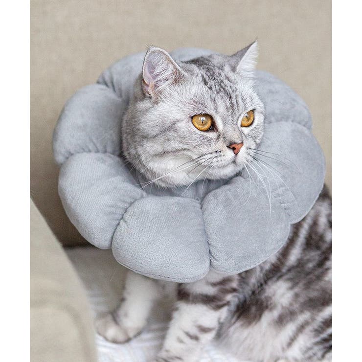 エリザベスカラー 猫 犬 | PlusNao | 詳細画像8 