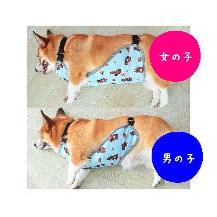 犬用 泥除けエプロン 泥はねガード | PlusNao | 詳細画像10 