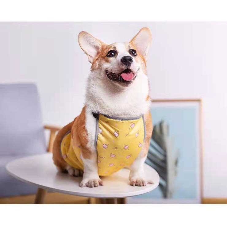 犬用 泥除けエプロン 泥はねガード | PlusNao | 詳細画像2 