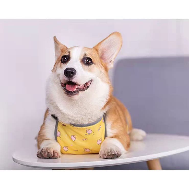 犬用 泥除けエプロン 泥はねガード | PlusNao | 詳細画像3 