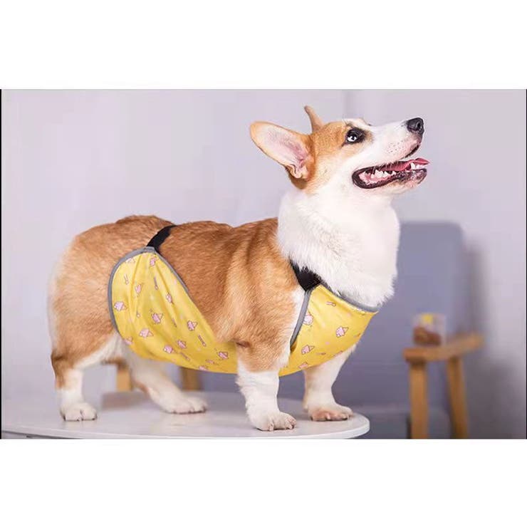 犬用 泥除けエプロン 泥はねガード | PlusNao | 詳細画像7 