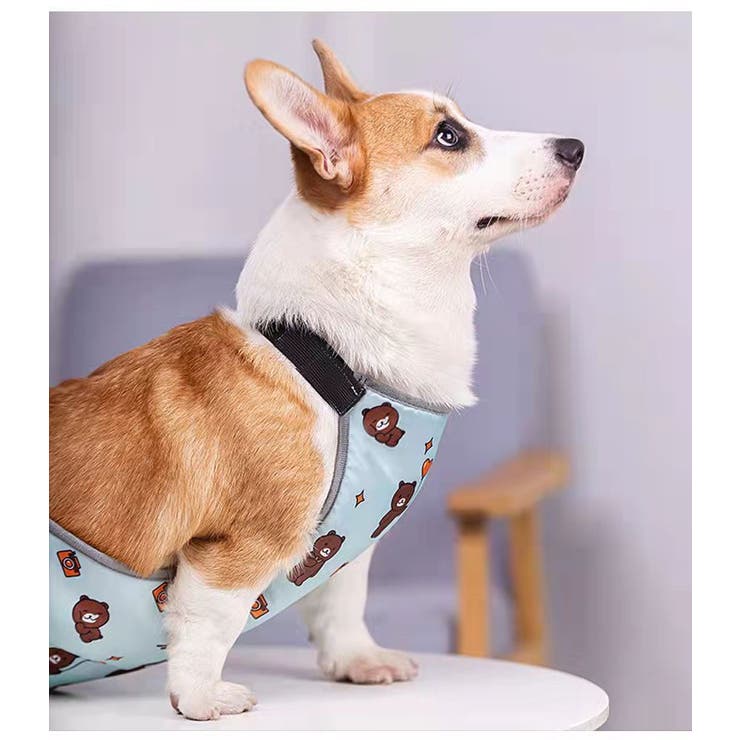 犬用 泥除けエプロン 泥はねガード | PlusNao | 詳細画像8 