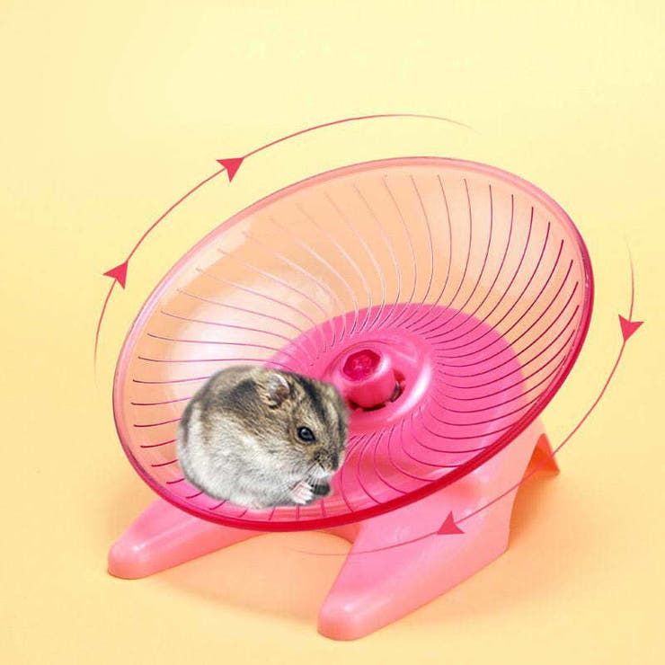 小動物用回し車 横向きホイール フライングソーサー | PlusNao | 詳細画像2 