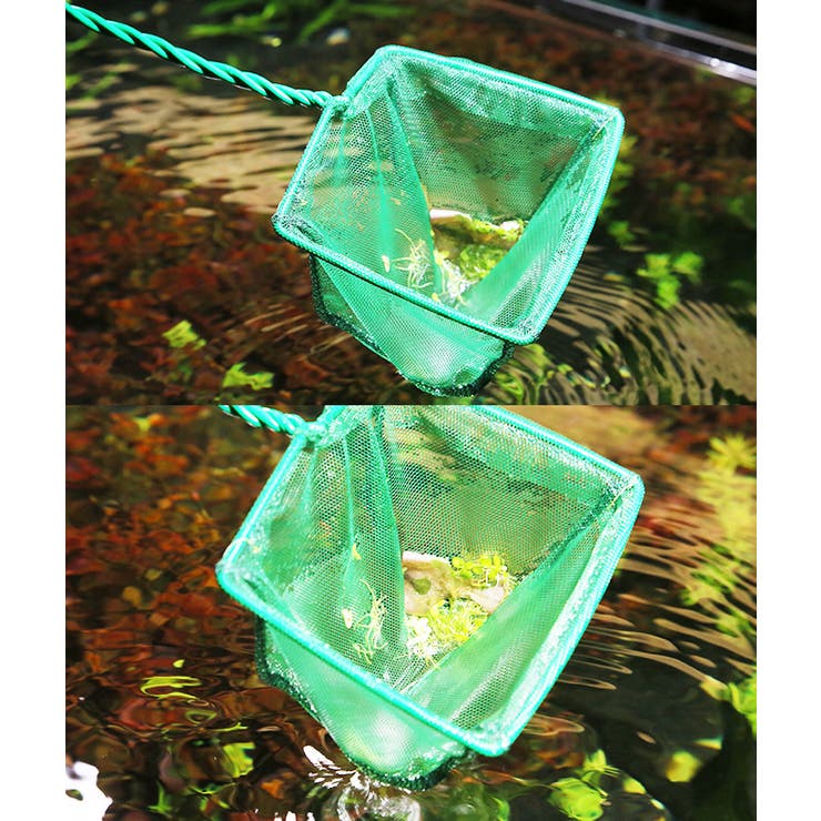 観賞魚用すくい網 水網 魚用ネット[品番：FQ000183044]｜PlusNao