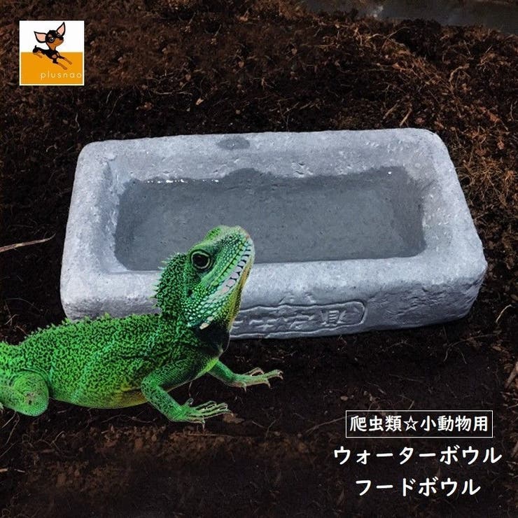 ペット食器 飲料水ボウル ウォーターディッシュ | PlusNao | 詳細画像1 