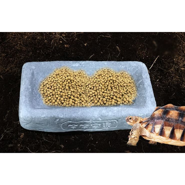 ペット食器 飲料水ボウル ウォーターディッシュ | PlusNao | 詳細画像3 