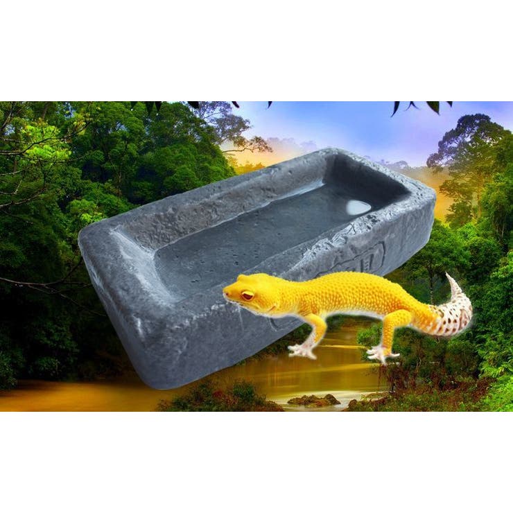 ペット食器 飲料水ボウル ウォーターディッシュ | PlusNao | 詳細画像4 