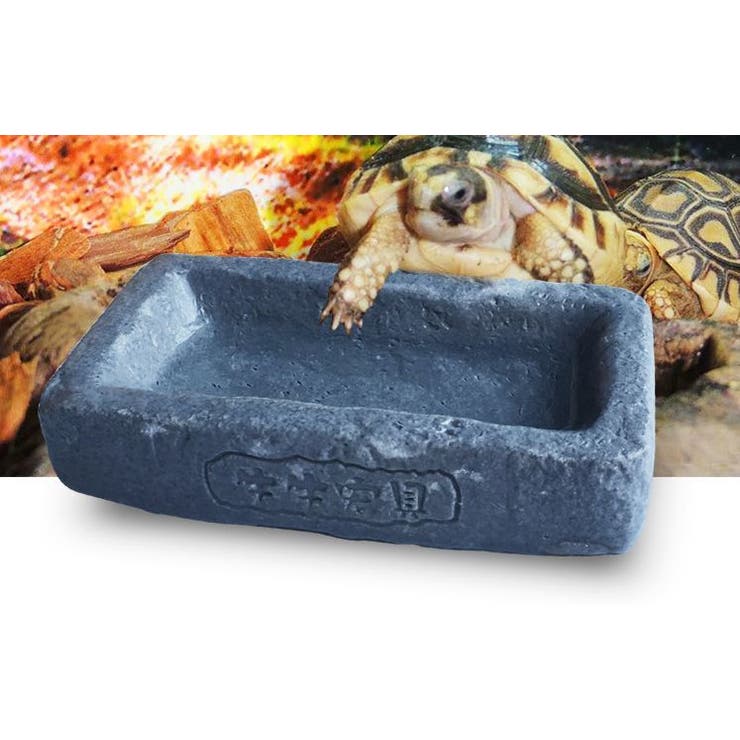 ペット食器 飲料水ボウル ウォーターディッシュ | PlusNao | 詳細画像6 