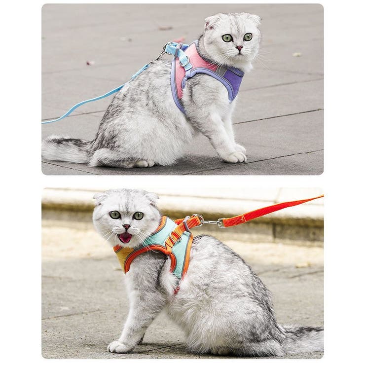 ハーネス リード セット | PlusNao | 詳細画像3 