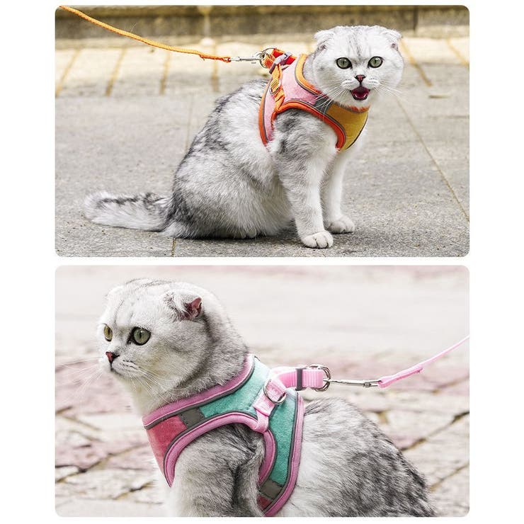 ハーネス リード セット | PlusNao | 詳細画像4 