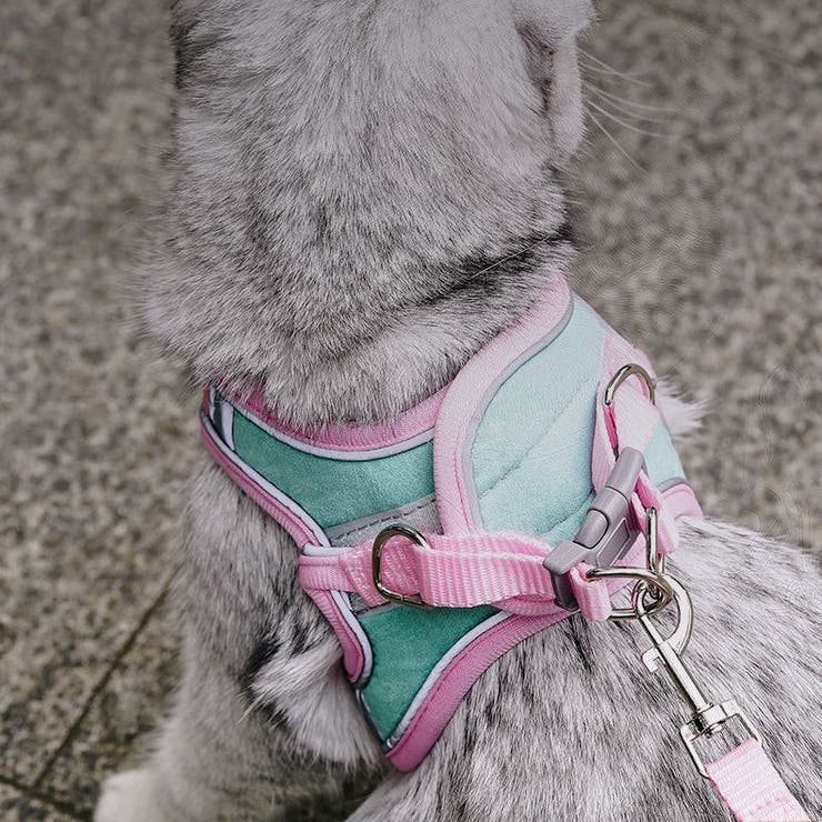 ハーネス リード セット | PlusNao | 詳細画像6 