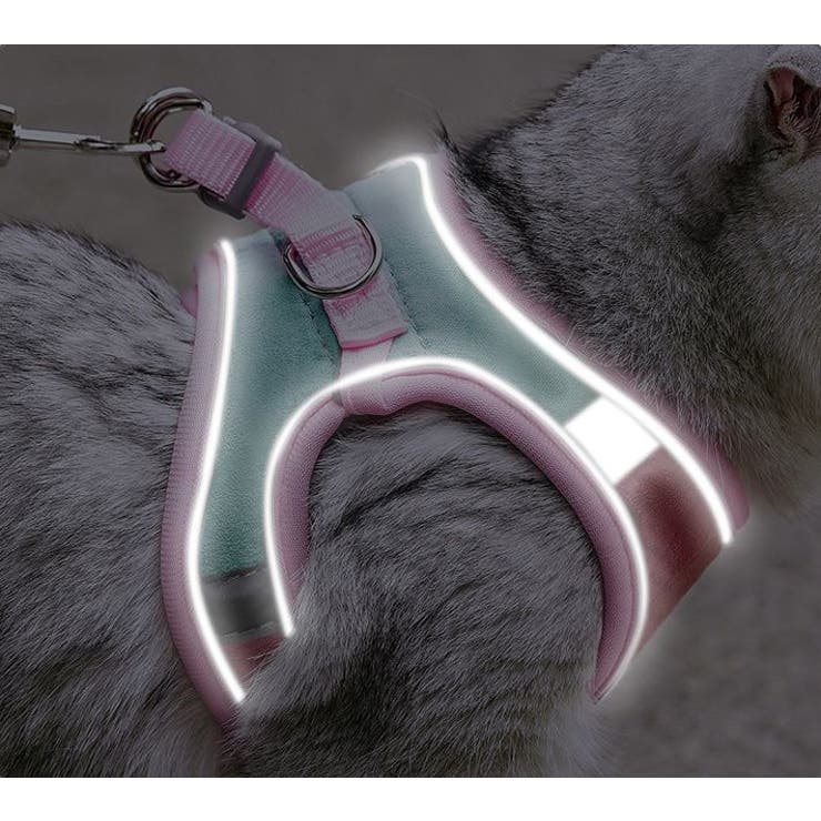 ハーネス リード セット | PlusNao | 詳細画像7 