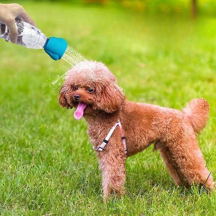 ペット用シャワーキャップ シャワーヘッド ペットボトル取り付け | PlusNao | 詳細画像2 