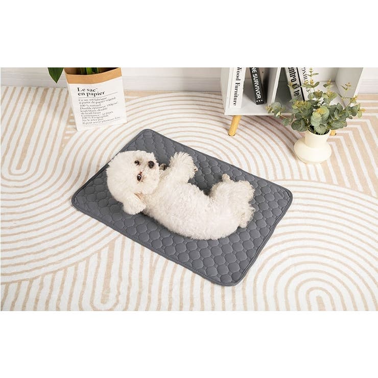 ペットシーツ 2枚セット 45×60cm | PlusNao | 詳細画像2 