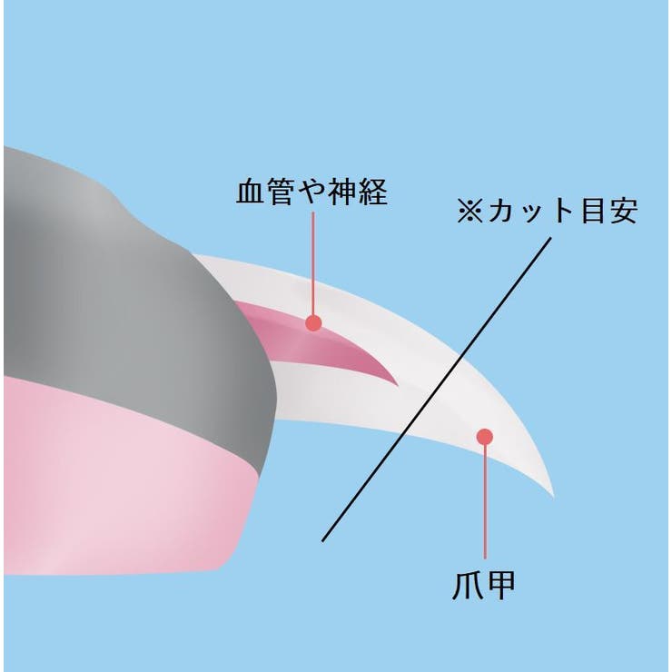 ペット用爪切り ヤスリ付き 2点セット | PlusNao | 詳細画像9 