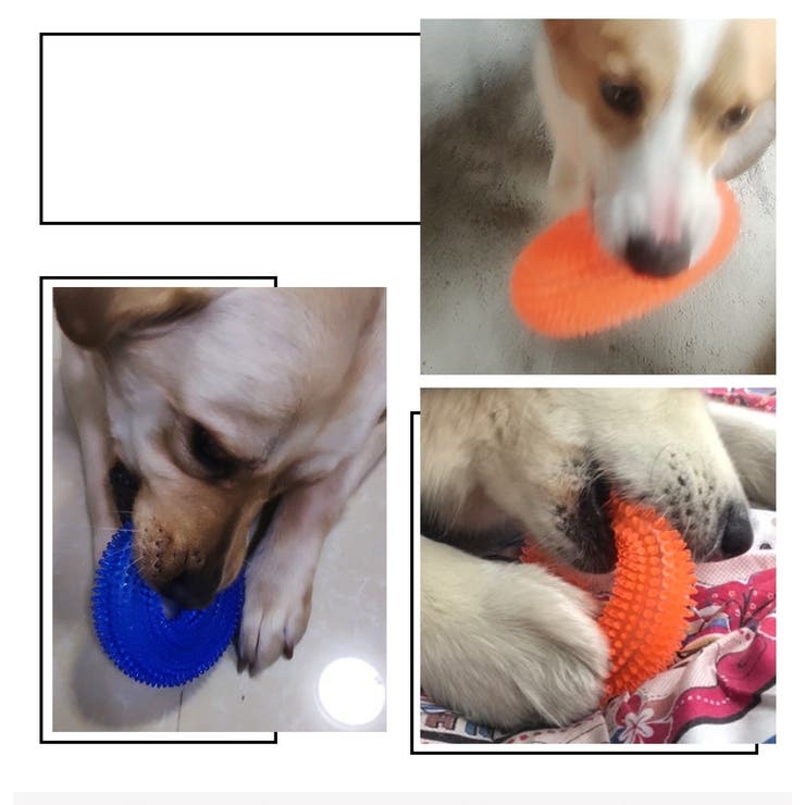 ペット用品 ドッグ おもちゃ | PlusNao | 詳細画像2 