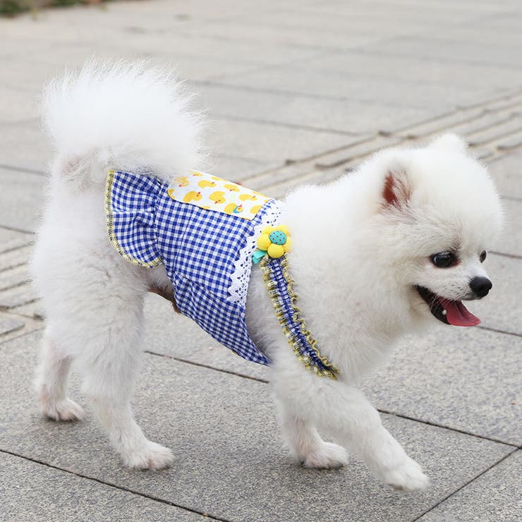 ドッグウェア キャミソールワンピース 犬服 | PlusNao | 詳細画像7 