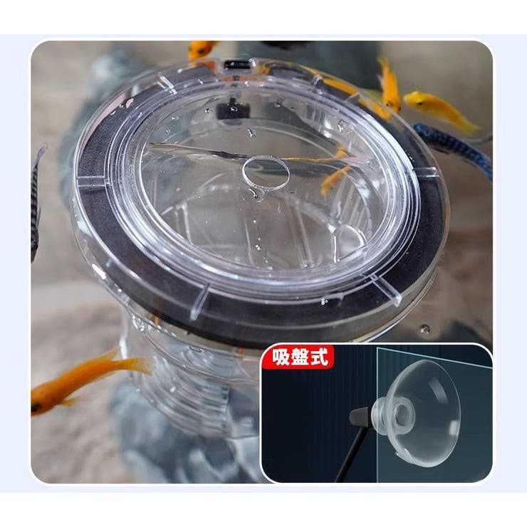 繁殖隔離ケース 産卵ケース 隔離ケース | PlusNao | 詳細画像3