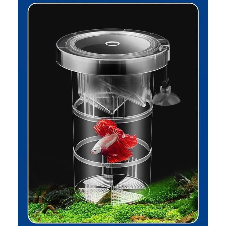 繁殖隔離ケース 産卵ケース 隔離ケース | PlusNao | 詳細画像4